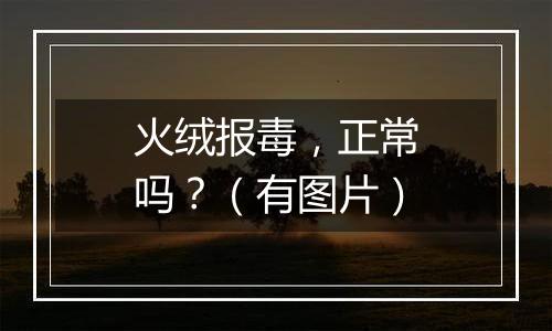 火绒报毒,正常吗?(有图片)