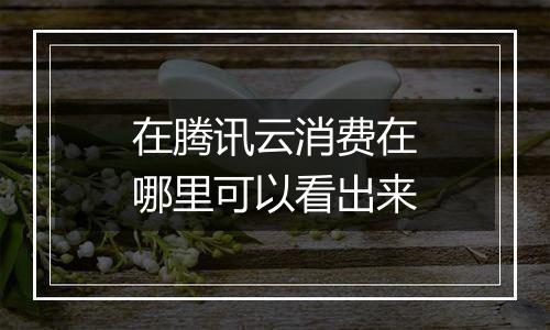 在腾讯云消费在哪里可以看出来