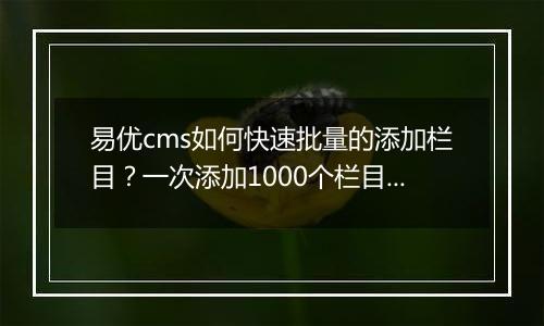 易优cms如何快速批量的添加栏目？一次添加1000个栏目！