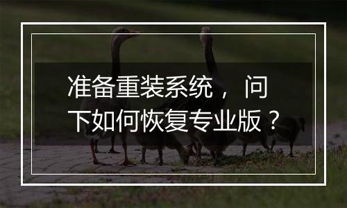 准备重装系统， 问下如何恢复专业版？