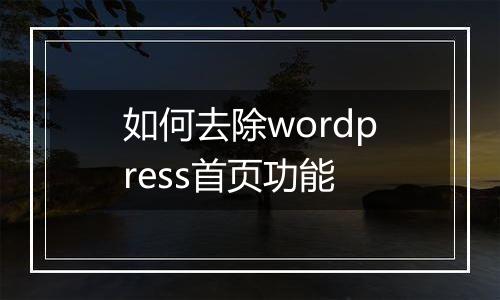 如何去除wordpress首页功能