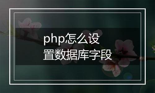 php怎么设置数据库字段