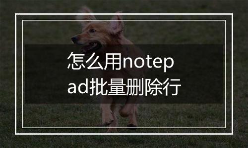 怎么用notepad批量删除行