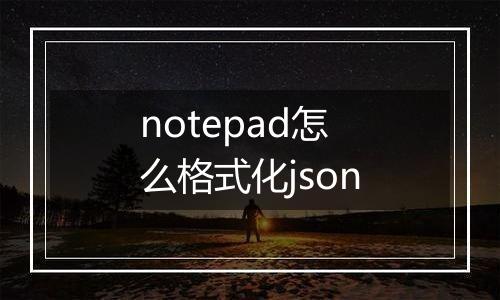 notepad怎么格式化json