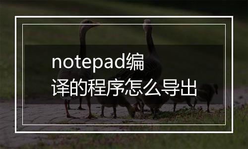 notepad编译的程序怎么导出