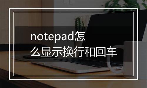 notepad怎么显示换行和回车