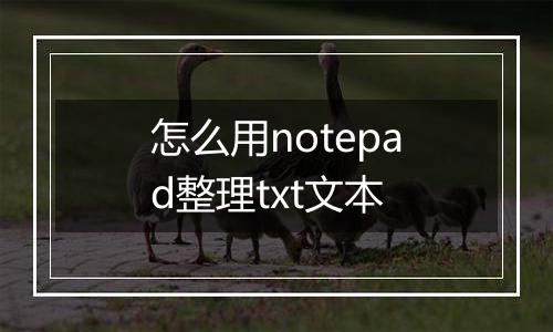 怎么用notepad整理txt文本