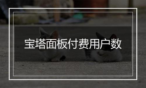 宝塔面板付费用户数