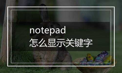 notepad怎么显示关键字