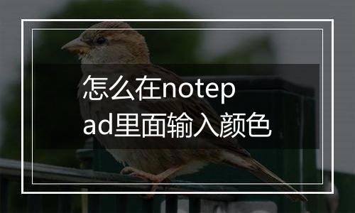 怎么在notepad里面输入颜色