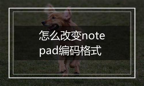 怎么改变notepad编码格式