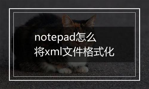 notepad怎么将xml文件格式化