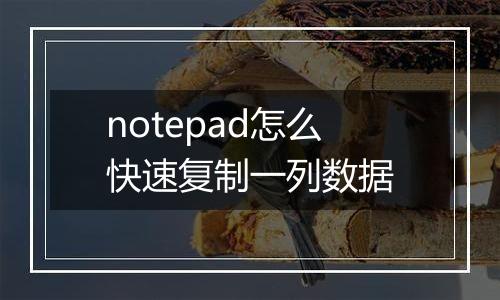 notepad怎么快速复制一列数据