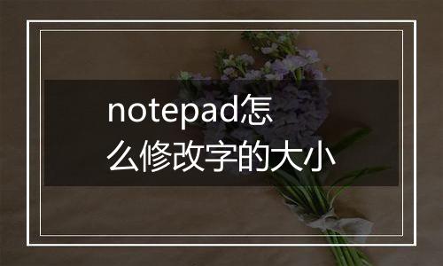 notepad怎么修改字的大小