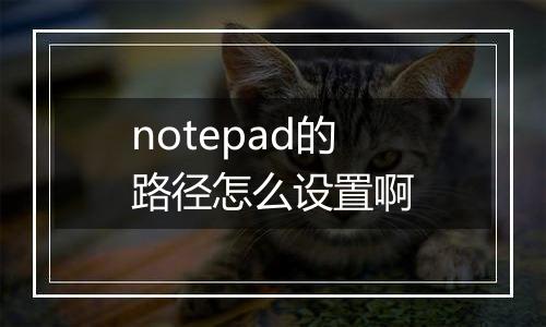 notepad的路径怎么设置啊