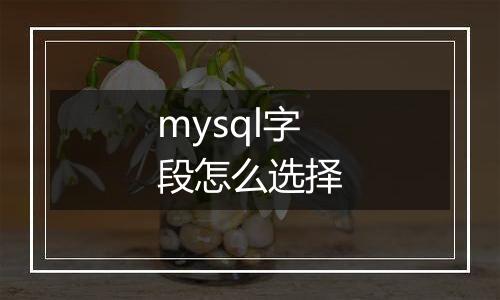 mysql字段怎么选择