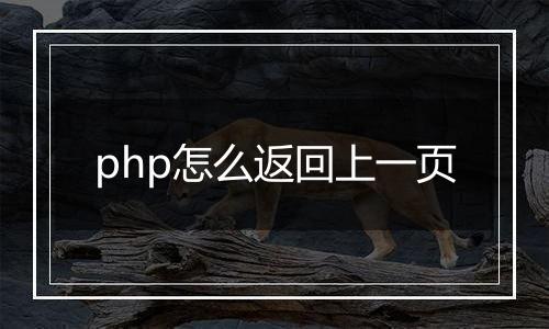 php怎么返回上一页