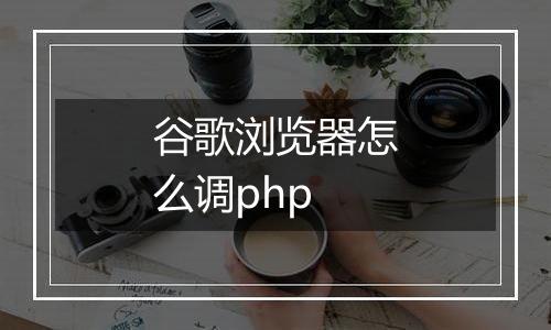 谷歌浏览器怎么调php
