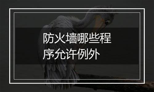 防火墙哪些程序允许例外