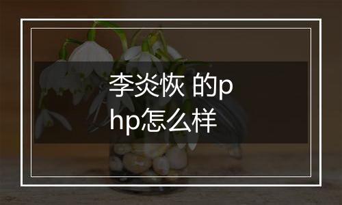 李炎恢 的php怎么样