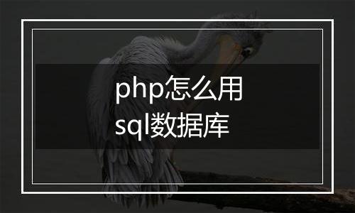 php怎么用sql数据库