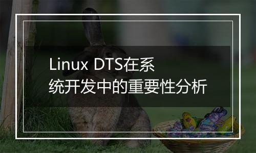 Linux DTS在系统开发中的重要性分析