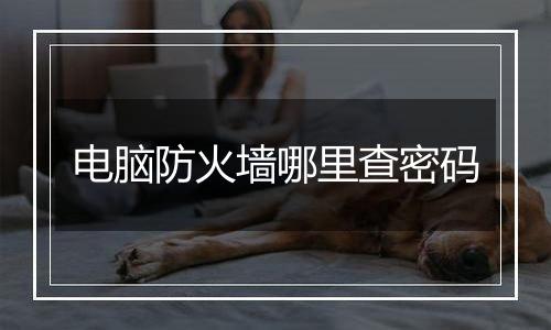 电脑防火墙哪里查密码