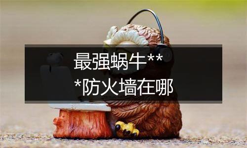 最强蜗牛***防火墙在哪