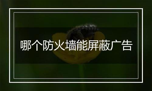 哪个防火墙能屏蔽广告