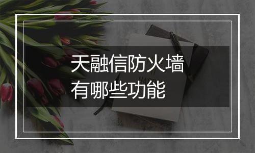 天融信防火墙有哪些功能