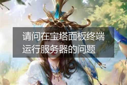 请问在宝塔面板终端运行服务器的问题