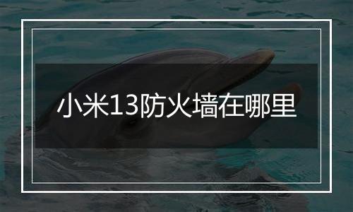 小米13防火墙在哪里