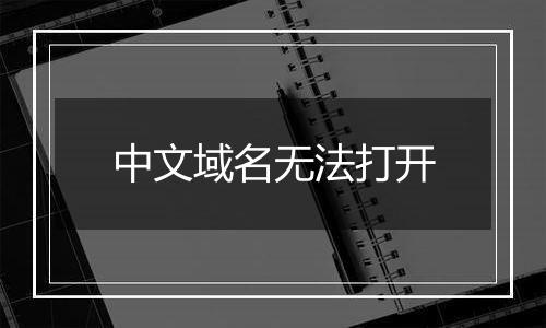 中文域名无法打开