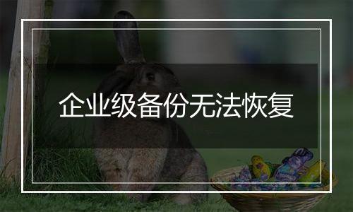 企业级备份无法恢复