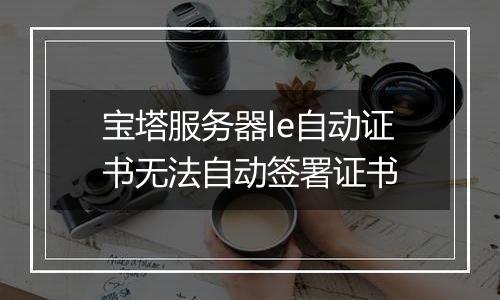 宝塔服务器le自动证书无法自动签署证书