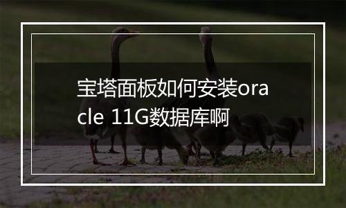 宝塔面板如何安装oracle 11G数据库啊