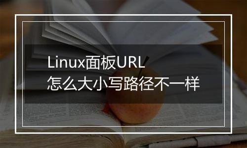Linux面板URL 怎么大小写路径不一样