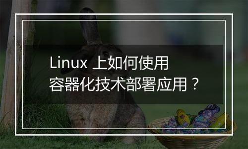 Linux 上如何使用容器化技术部署应用?