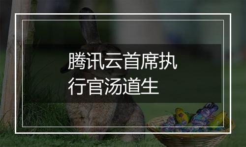 腾讯云首席执行官汤道生