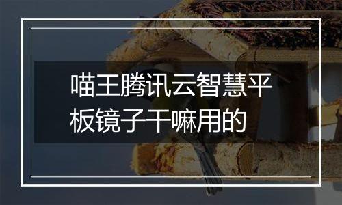 喵王腾讯云智慧平板镜子干嘛用的