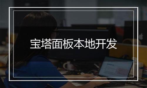 宝塔面板本地开发