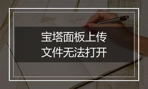 宝塔面板上传文件无法打开