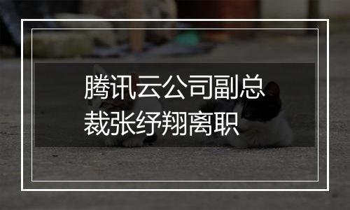 腾讯云公司副总裁张纾翔离职