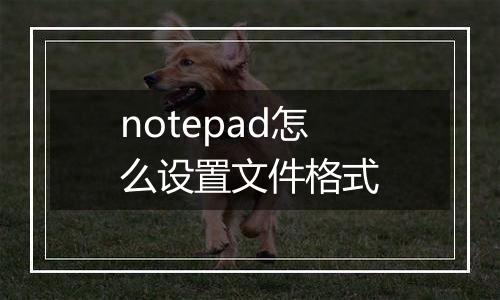 notepad怎么设置文件格式