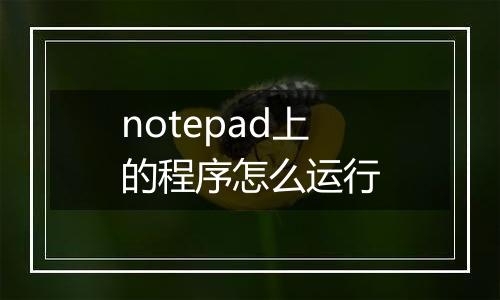 notepad上的程序怎么运行
