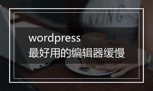 wordpress最好用的编辑器缓慢