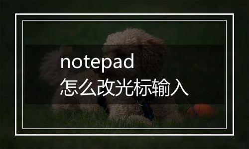 notepad怎么改光标输入