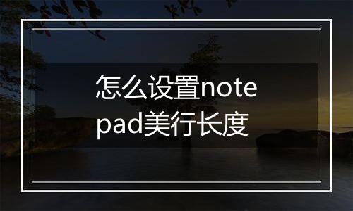 怎么设置notepad美行长度