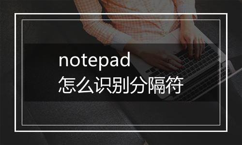 notepad怎么识别分隔符