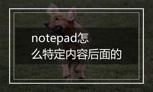 notepad怎么特定内容后面的